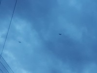 20180108_203022