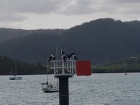 20180119_070830