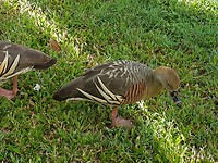20180120_072619