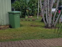 20180120_072054