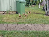 20180120_072118