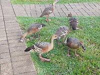 20180120_072325