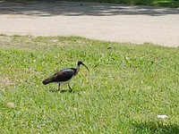 20180120_125111