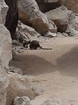 20180121_115243