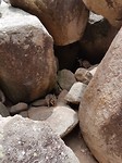 20180121_115434