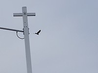 20180121_154643