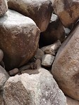 20180121_115717