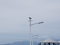 20180121_154636