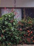 20180121_142153