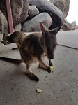 20180122_094323