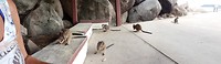 20180122_094141