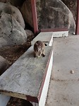 20180122_093639