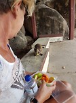 20180122_093636