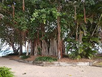 20180123_170635