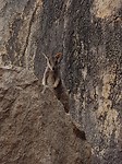 20180124_085416
