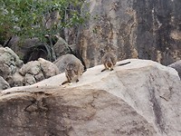 20180124_085539