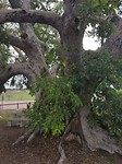 20180124_115242