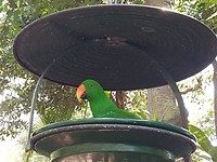20180131_101439