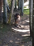 20180131_110057