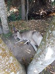 20180131_110157
