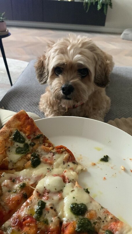 Ook pizza thuis - Met Kwix!