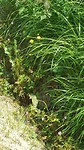 20180506_144544