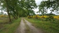 20180510_122123