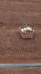 20180521_073306