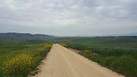 20180523_105601