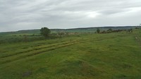 20180525_105109