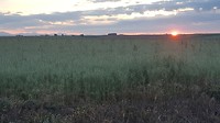 20180601_065148