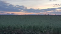 20180601_065154