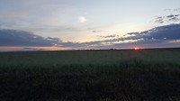 20180601_065136