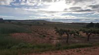 20180604_082432