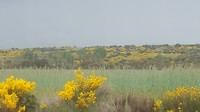 20180604_124315