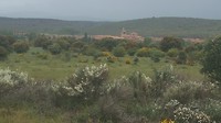 20180604_124305