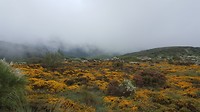 20180605_123901