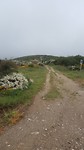 20180605_123923