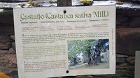 20180608_105128-1