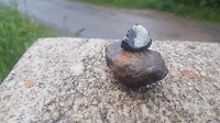 20180608_072116