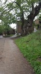 20180608_105112