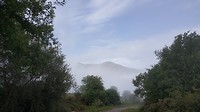 20180608_094652