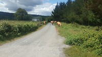 20180609_125157