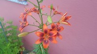 20180613_092416