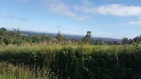 20180614_094038