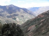 Andes