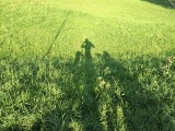 IMG_1358