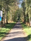 IMG_1478