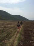 Trekking Hsipaw