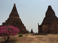 Bagan